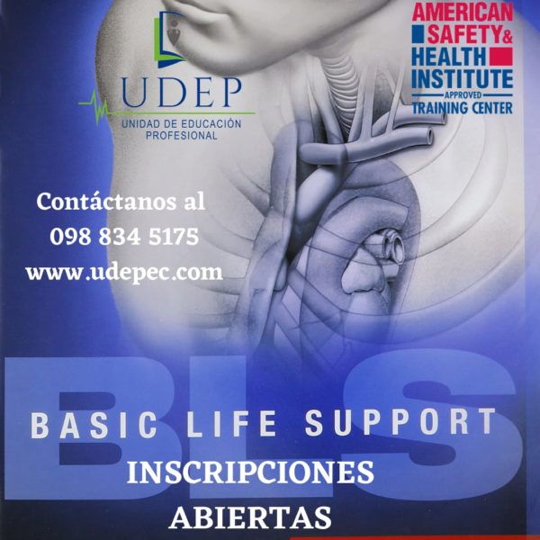 BLS (BASIC LIFE SUPPORT)